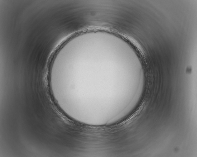 X0000116680878201001251258