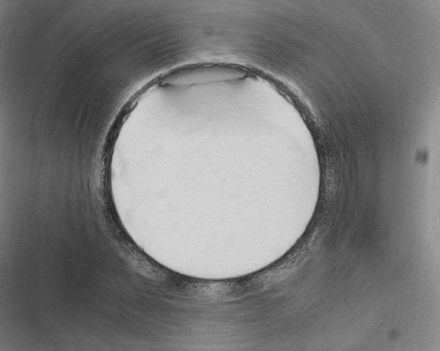 X0000116680879201001251258