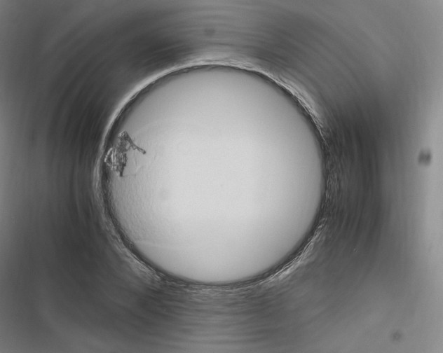 X0000116680880201001251258