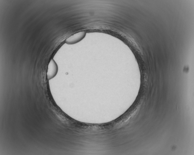 X0000116680881201001251258