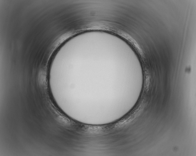 X0000116680882201001251258