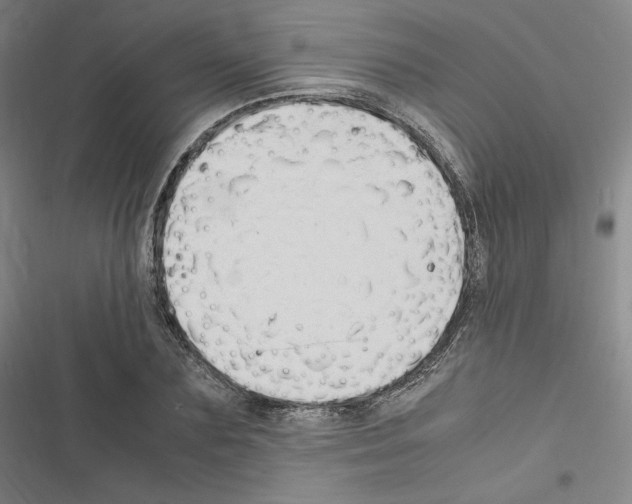 X0000116680883201001251258