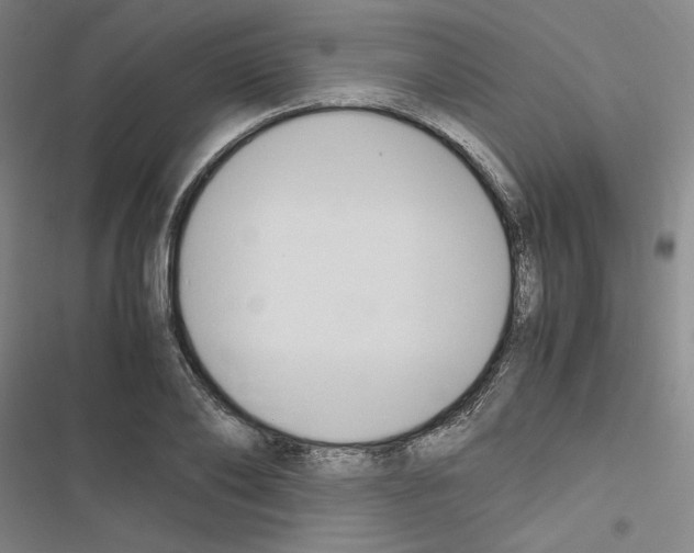 X0000116680886201001251258