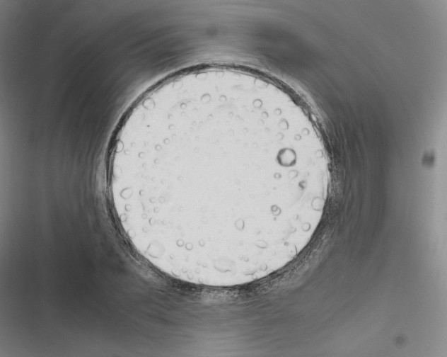 X0000116680887201001251258