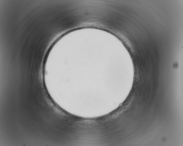 X0000116680888201001251258