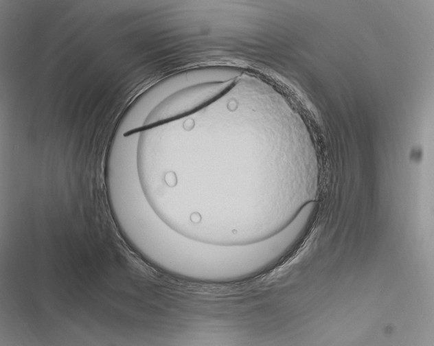 X0000116680889201001251258