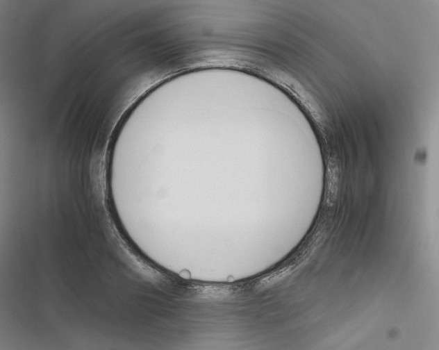 X0000116680890201001251258