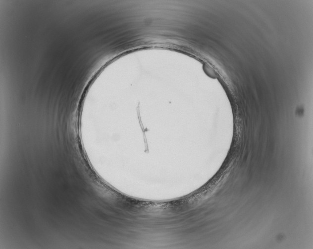 X0000116680891201001251258