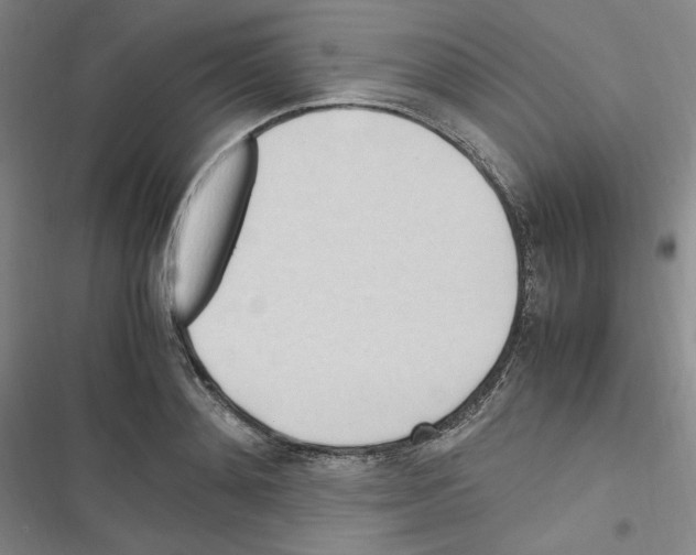 X0000116680892201001251257