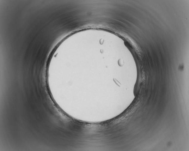 X0000116680894201001251257