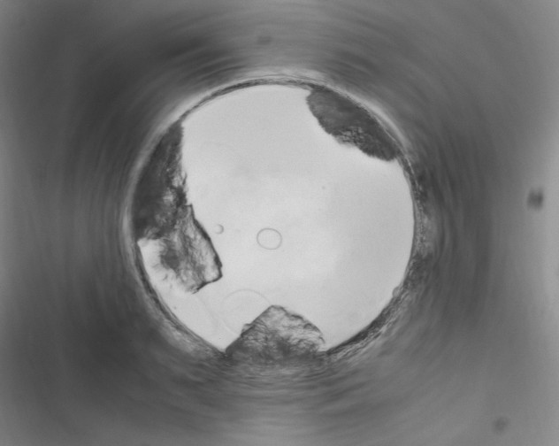 X0000116680895201001251257