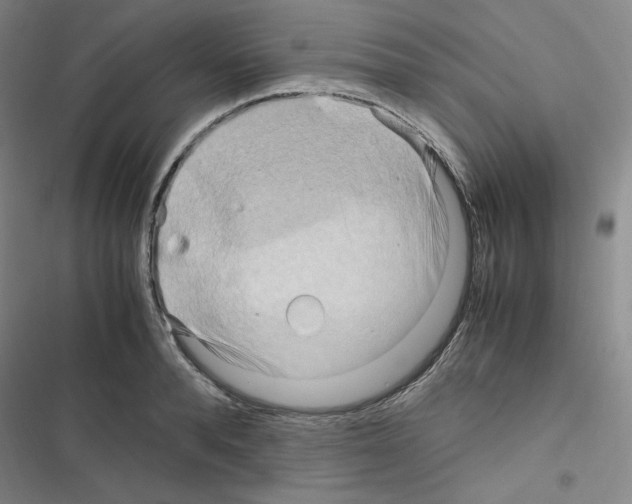 X0000116680896201001251257