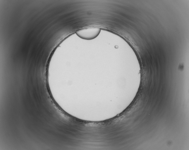 X0000116680898201001251257