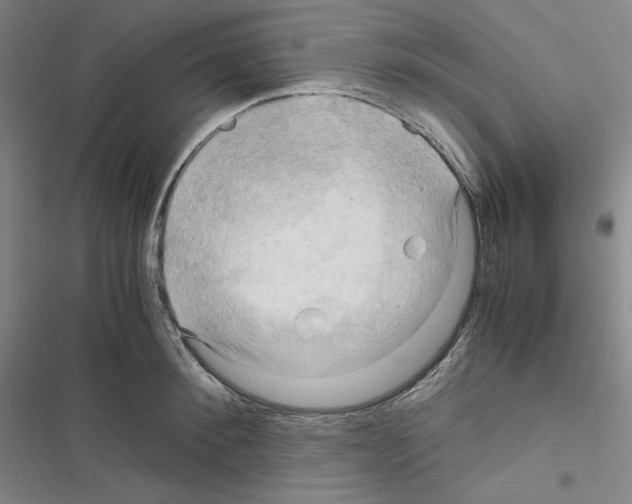 X0000116680900201001251257