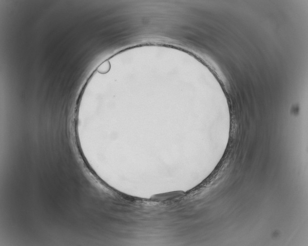 X0000116680903201001251257