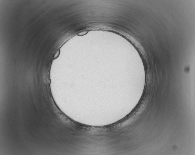 X0000116680905201001251257