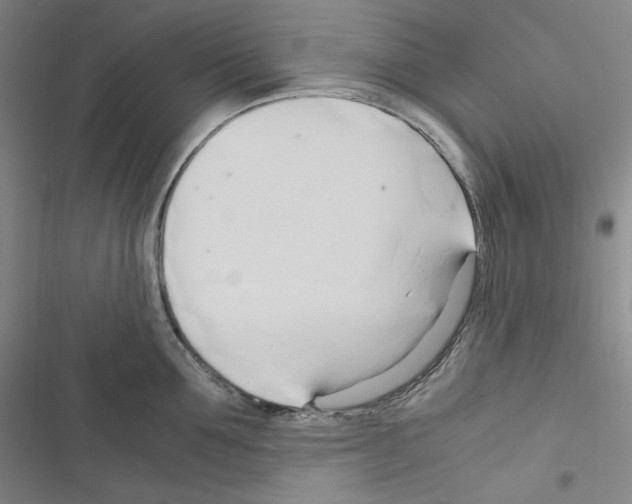 X0000116680907201001251257