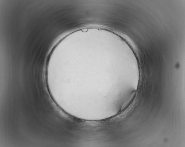 X0000116680910201001251257