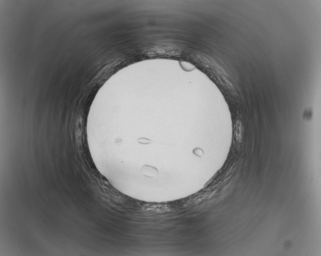 X0000116680915201001251257