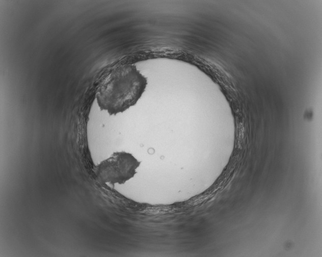 X0000116680917201001251257