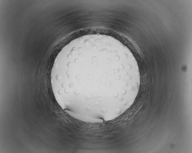 X0000116680919201001251257