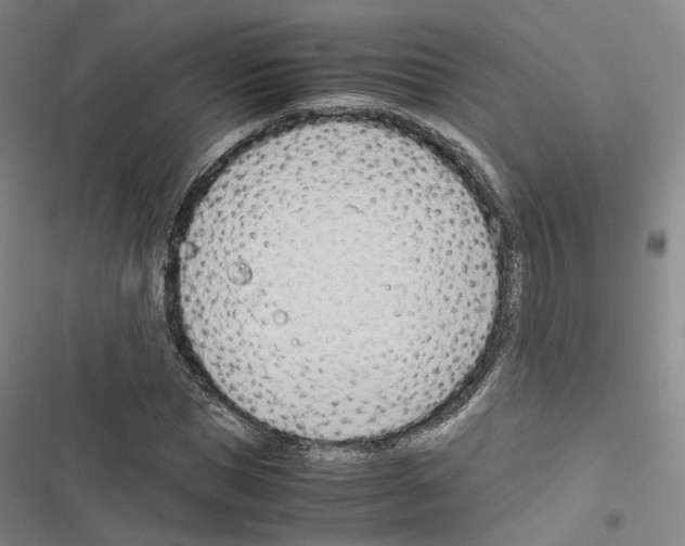 X0000116680921201001251257