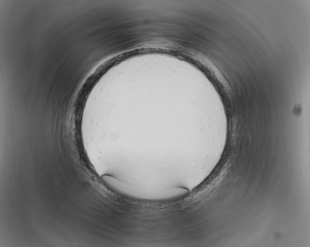 X0000116680923201001251257