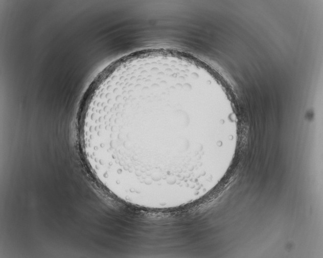 X0000116680927201001251257