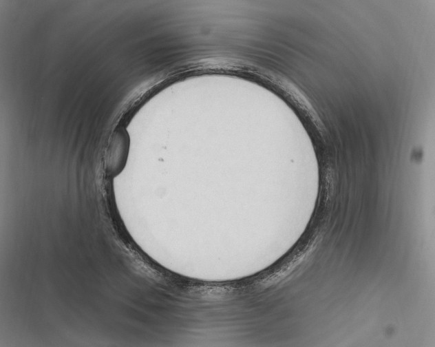 X0000116680930201001251257