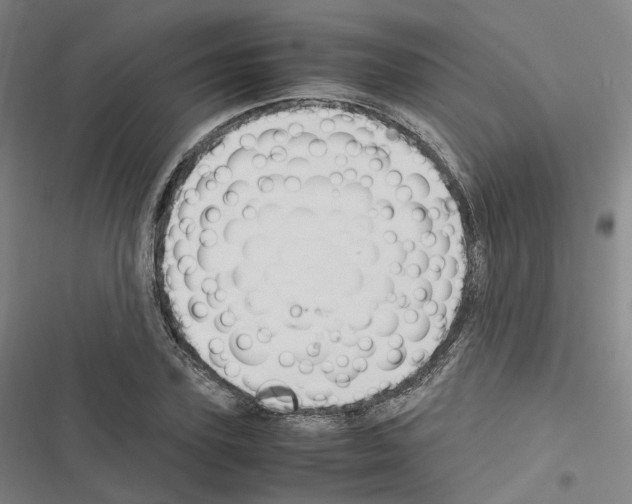 X0000116680931201001251257