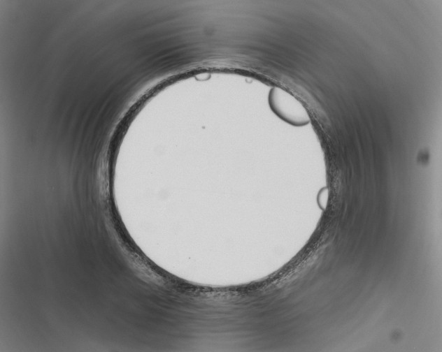 X0000116680934201001251257