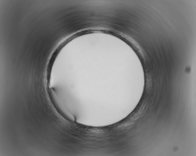 X0000116680935201001251257