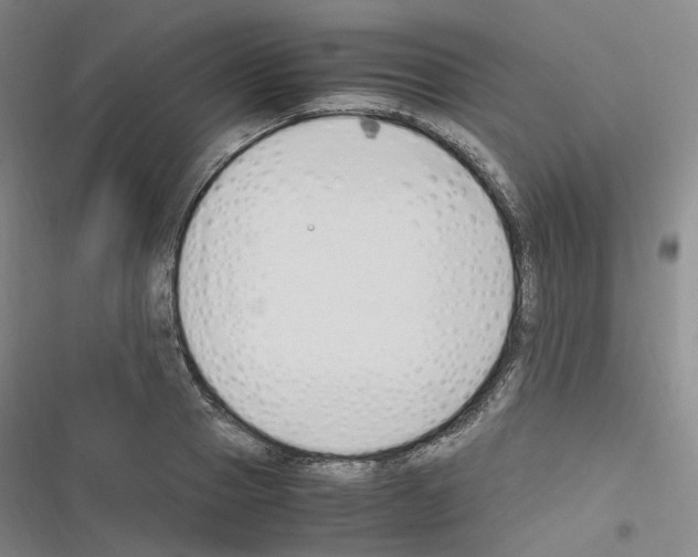 X0000116680937201001251257