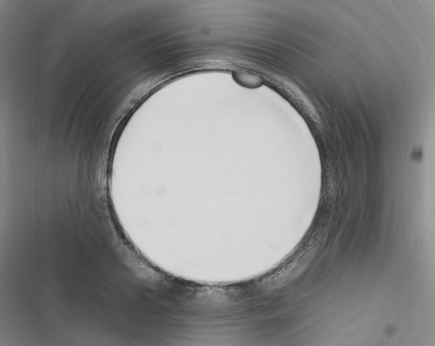 X0000116680938201001251257