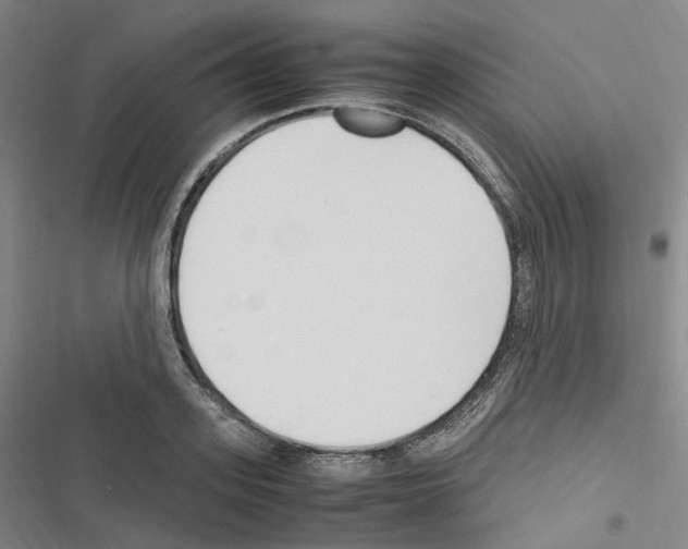 X0000116680939201001251257