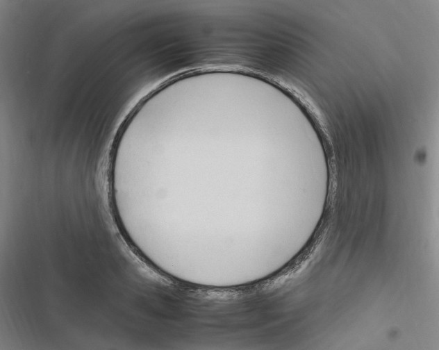 X0000116680941201001251257