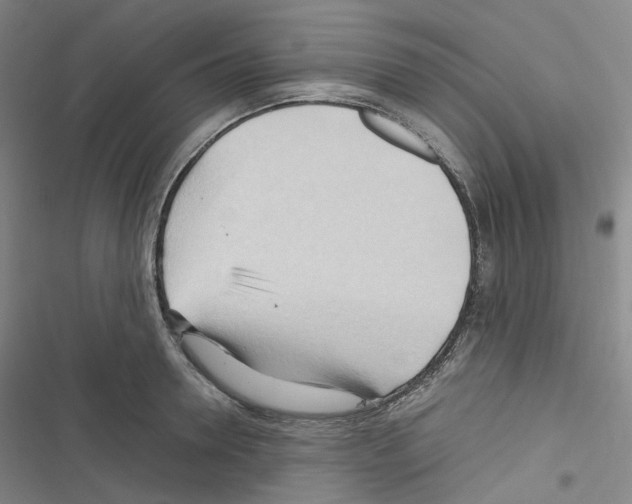 X0000116680946201001251257