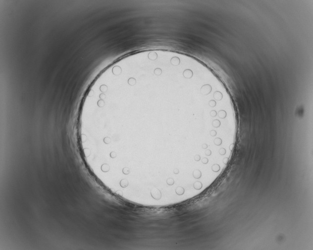 X0000116680949201001251257