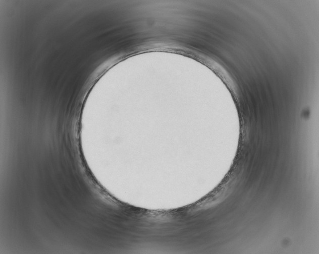 X0000116680954201001251257