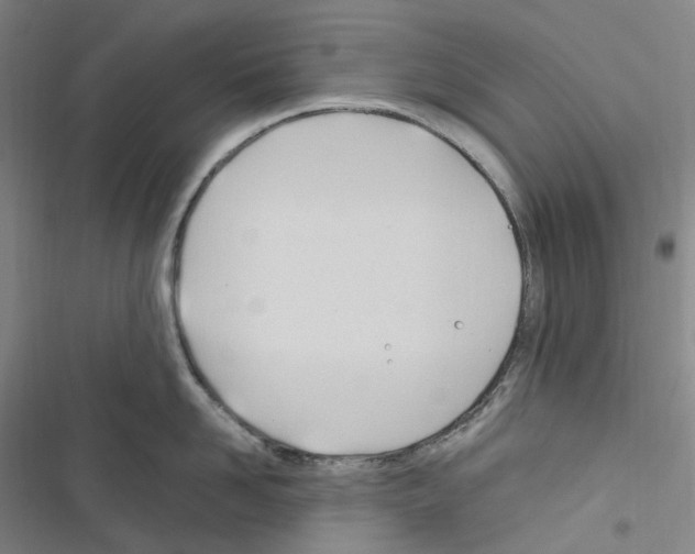 X0000116680958201001251257