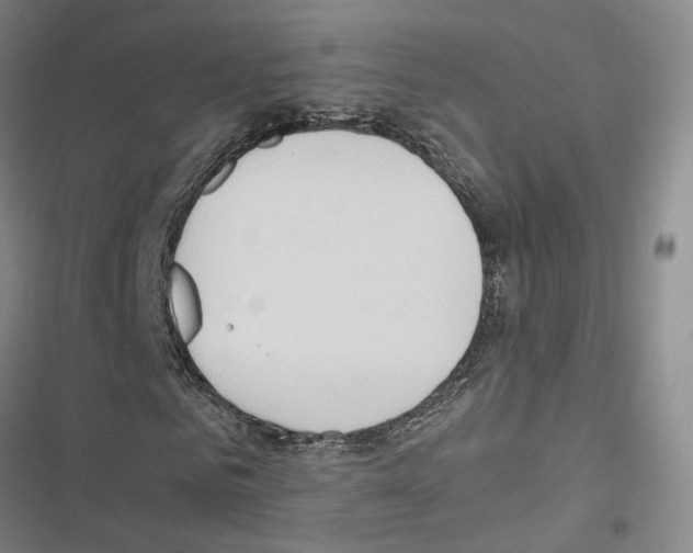 X0000116680961201001251257