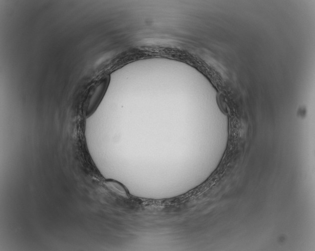 X0000116680965201001251257