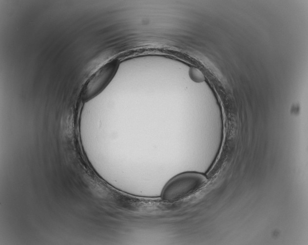 X0000116680969201001251256