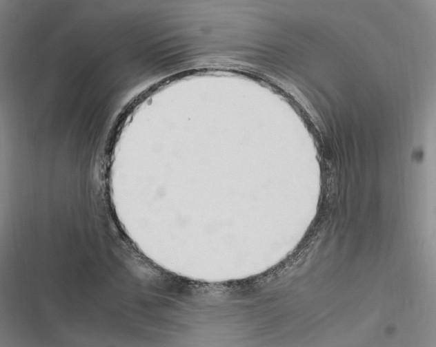 X0000116680971201001251256