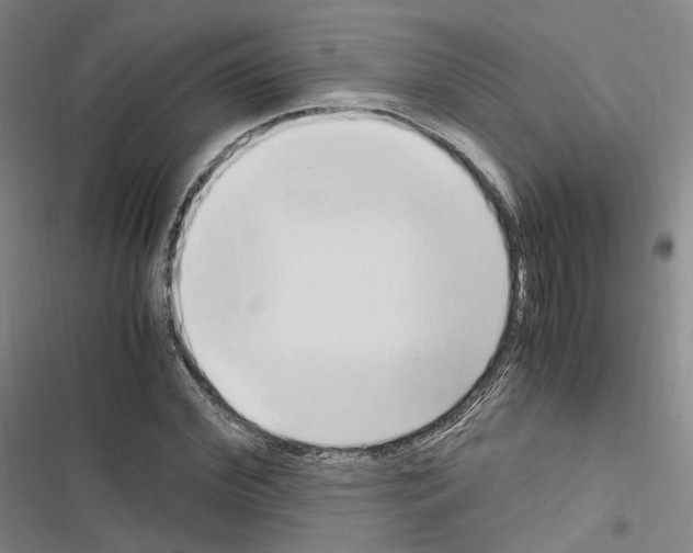 X0000116680972201001251256