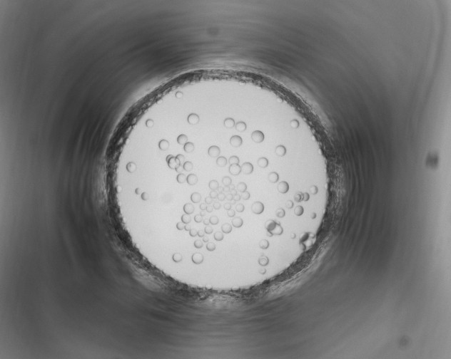 X0000116680974201001251256