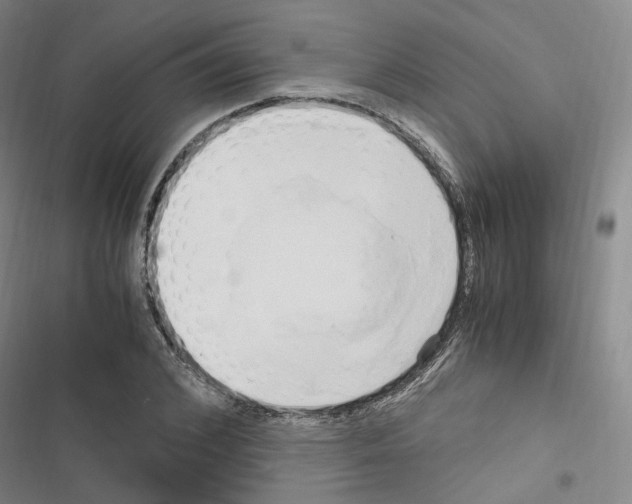 X0000116680976201001251256