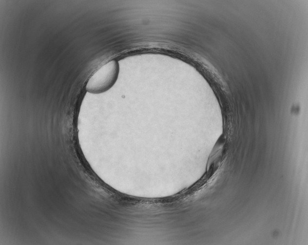 X0000116680977201001251256