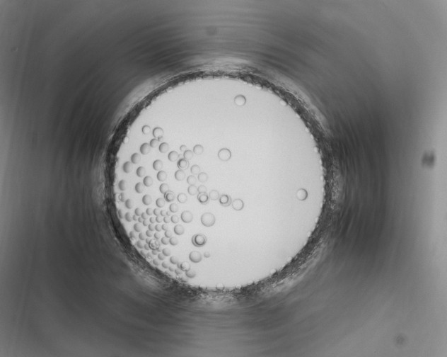 X0000116680978201001251256