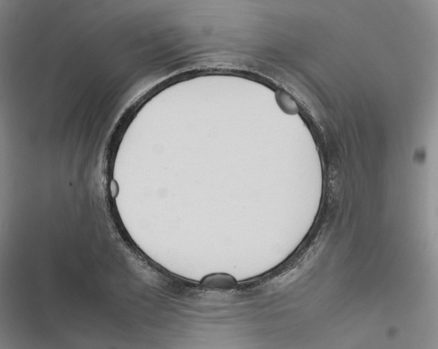 X0000116680981201001251256